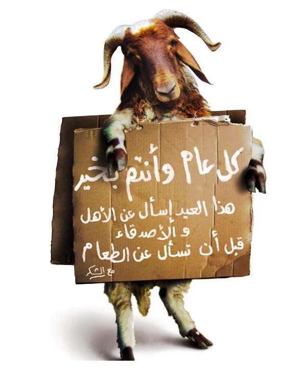 Mouton.jpg