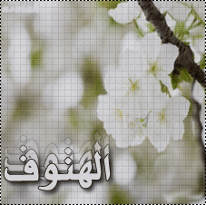 146026835.png