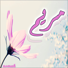 909655147.png