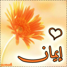 950155952.png