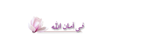 505074955.png
