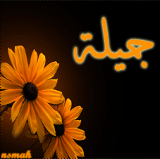 641020991.gif