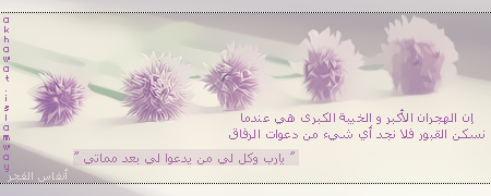 951290494.png