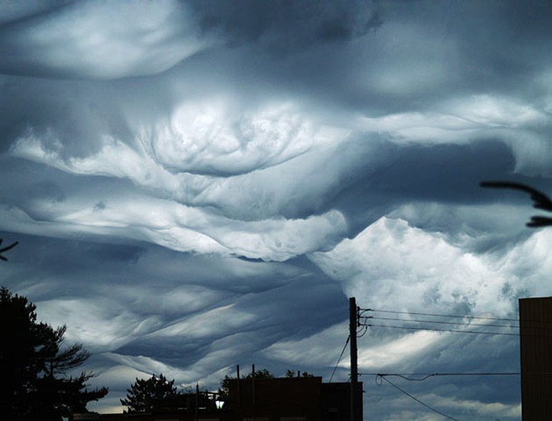 undulatus-asperatus-03.jpg