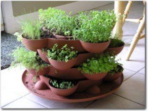 indoor-herb-garden-2-300x226.jpg