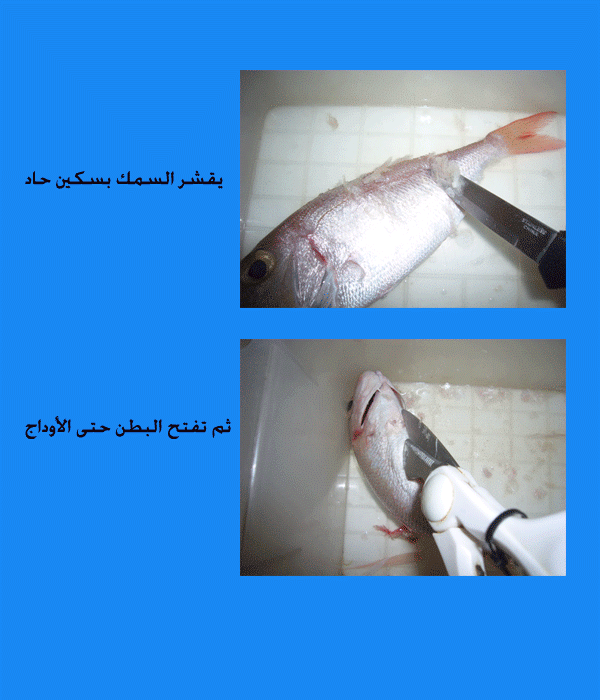 fishcleaner2.gif