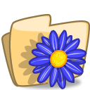 Folder-Flower-Blue-icon.png