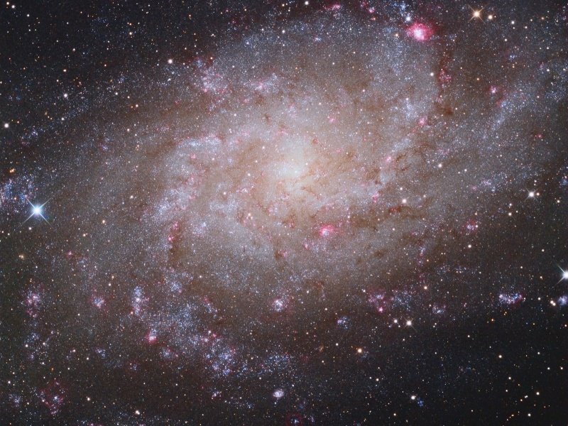 M33_MortfieldCancelli_c800.jpg