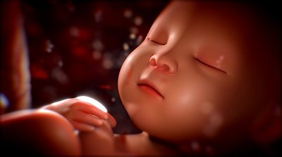 stock-footage-human-baby-in-mother-s-womb.jpg