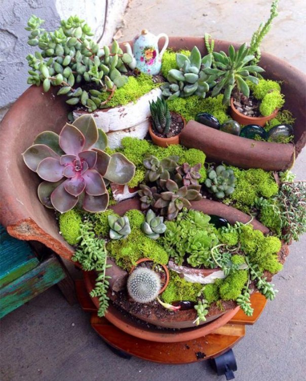 broken-pot-fairy-garden-19.jpg