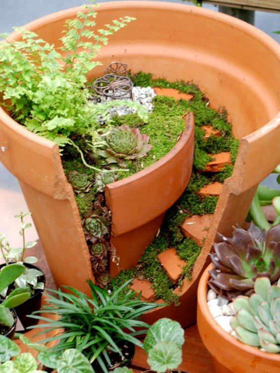 broken-pot-fairy-garden-21.jpg