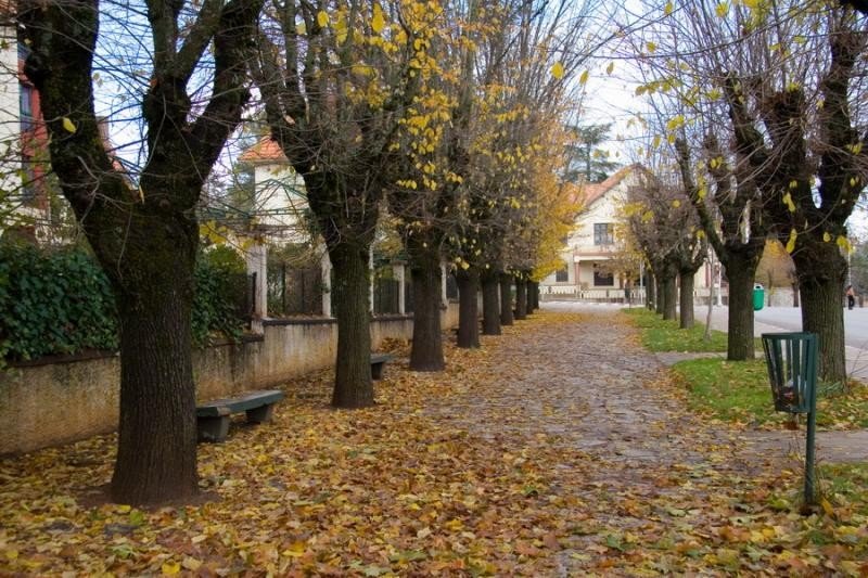 ifrane.jpg