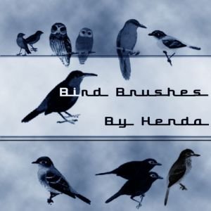 Bird_brushes_by_Henda_Stock.jpg