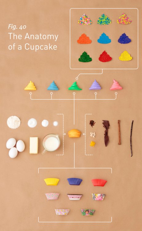 cupcake-anatomy_50290b54edb39.jpg