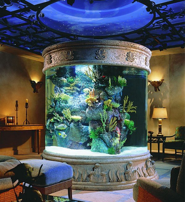 this-is-the-age-of-aquariums02.jpg