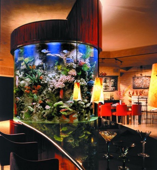 this-is-the-age-of-aquariums09.jpg