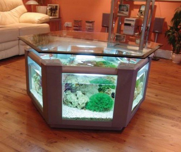 this-is-the-age-of-aquariums10.jpg