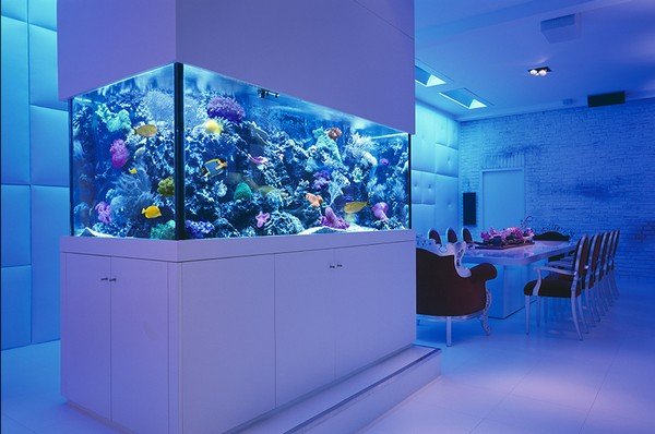 this-is-the-age-of-aquariums14.jpg