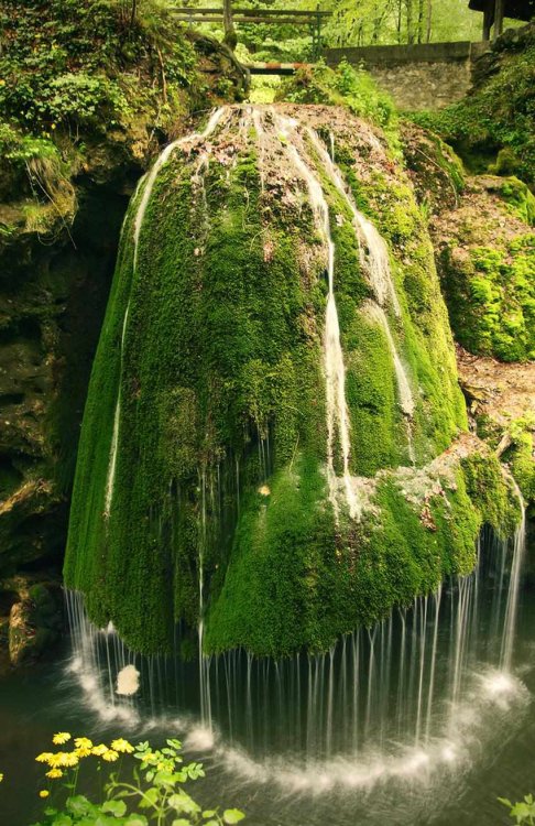 Bigar-waterfall-Romania-10.jpg