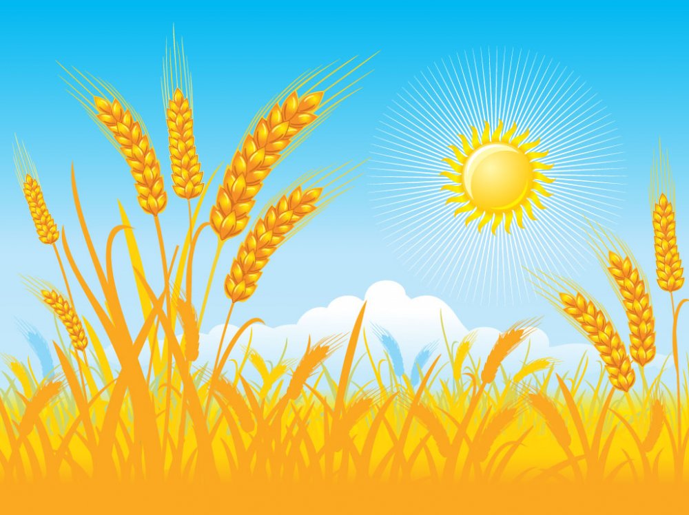 FreeVector-Golden-Field-Background.jpg