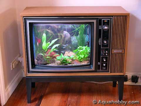 tv-aquarium.jpg