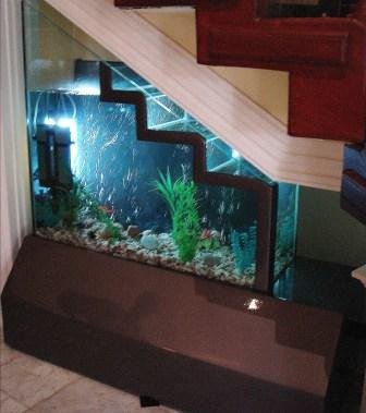 under-stair-aquarium.jpg