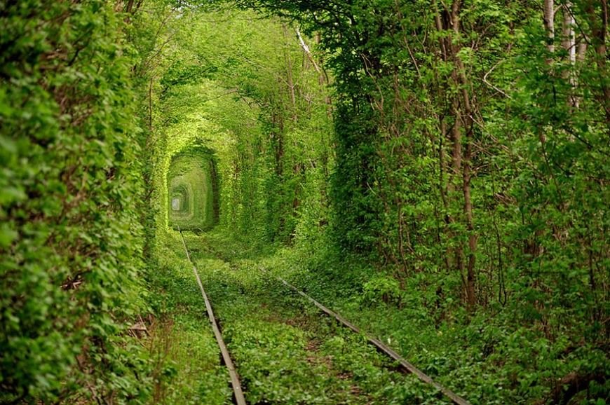 5-Tunnel-of-Love-Ukraine.jpg