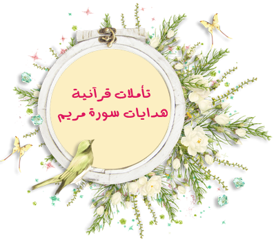 55017ad952cda.png