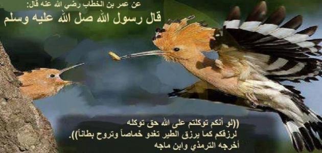تمتد وفقا لذلك أربع مرات ما معنى تغدو خماصا وتروح بطانا -  baldandbeautiful.org