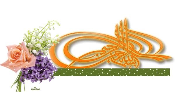 حصرياافضل اربع مصادر لمستلزمات التصميم النادره.... سرى جدا | Crown jewelry,  Jewelry, Crown