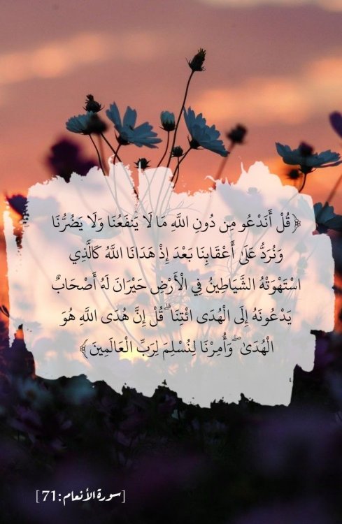 قل اندعوا من دون الله مالا ينفعنا ولا يضرنا [الانعام 71 ]... | Movie  posters, Poster, Movies