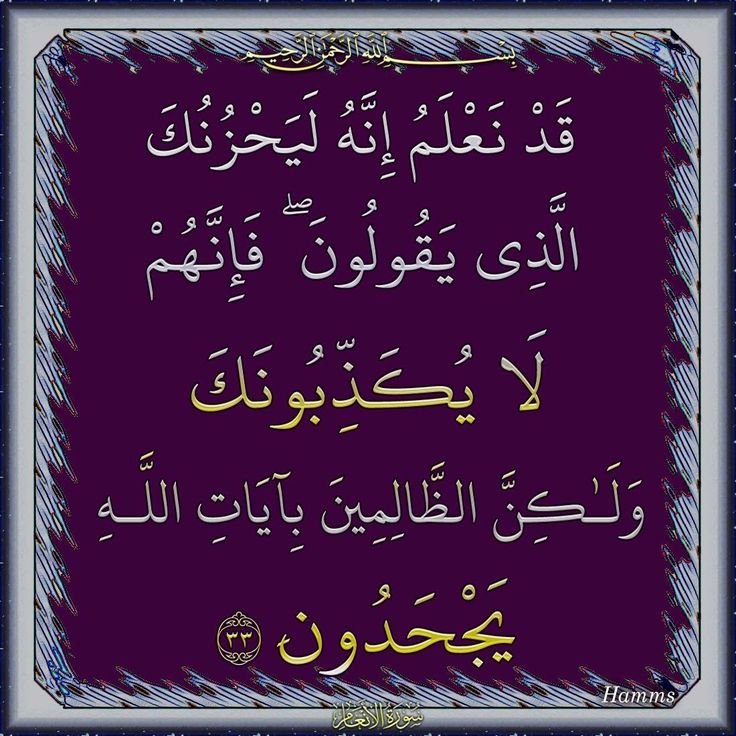 ٣٣- الأنعام