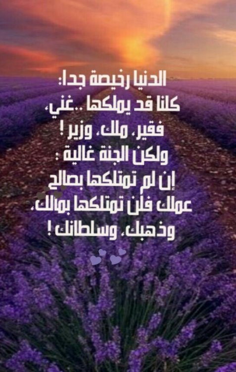66f4b03dcb2d2070995cfab32d95a8a8.jpg