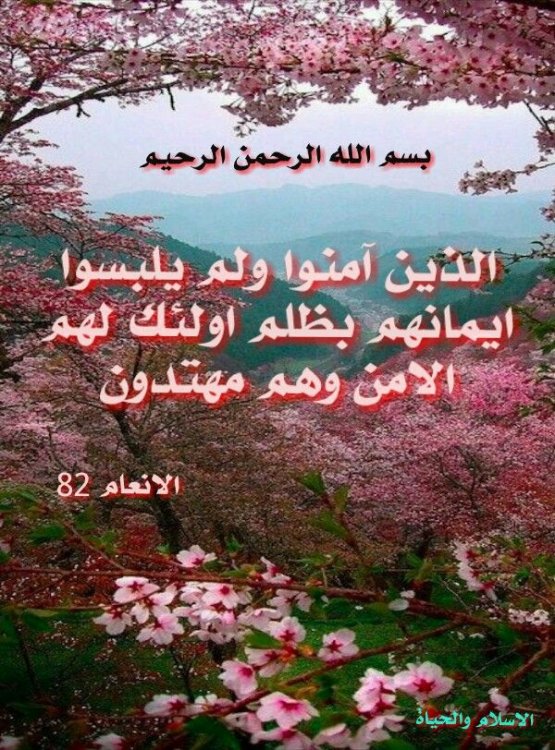 سورة الانعام | Neon signs, Movie posters, Poster