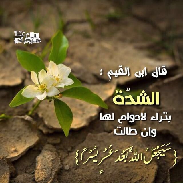 cabca389d4cf1d13ab0cc3b34411d058.jpg