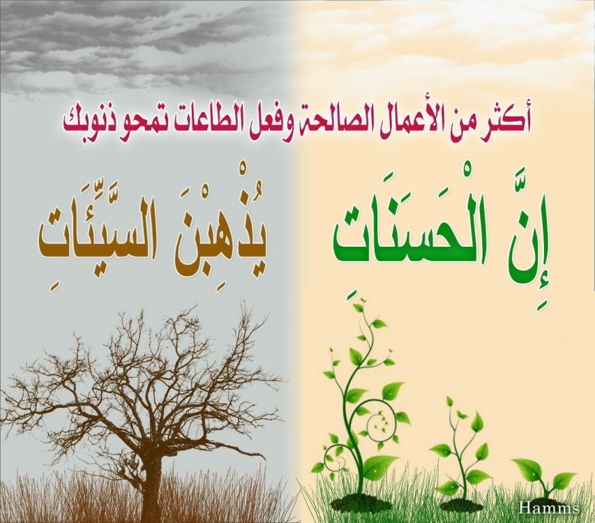 قلبي مشغول بمن؟ ( الانشغال بالماضي)رقية العلواني