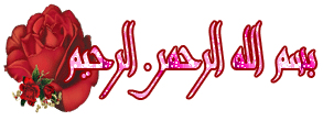 بسم الله الرحمن الرحيم .. ورود - صور ورد - صور عبير
