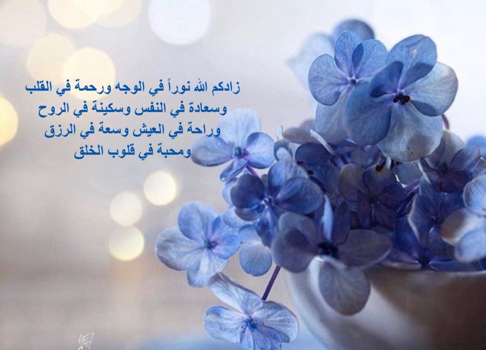 حوته-حياة كتبي on Twitter: "ويسعدك ويسعد مساءك وكل أوقاتك بكل خير ونور  وأطمئنان وأمان يارب… "