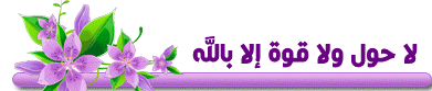 13618217758.gif