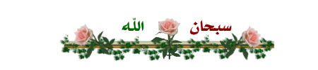 13618229314.gif