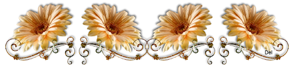 13664157129.png