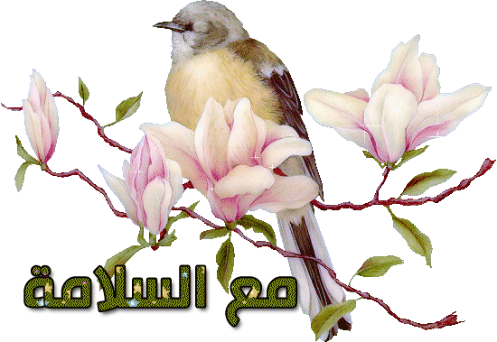 121358.gif