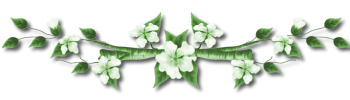 gif-sc3a9parateur-fleur-3.png