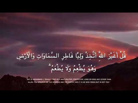 قل اغير الله أتخذ وليا فاطر السموات والأرض - YouTube