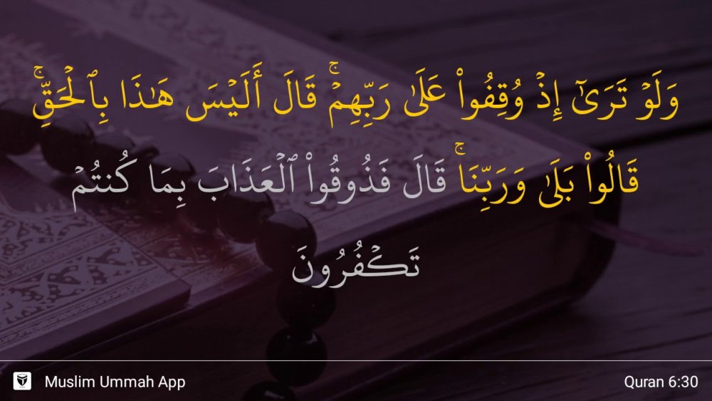 Al-An'am ayat 30 - YouTube