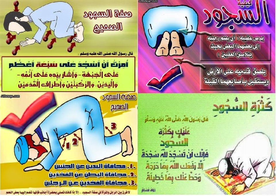 أهمية السجود وثماره وآثاره - الساحة العقدية والفقهية - أخوات طريق الإسلام