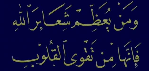 سلسلة روائع البيات لـ د رقية العلواني صفحه 6 ساحة القرآن