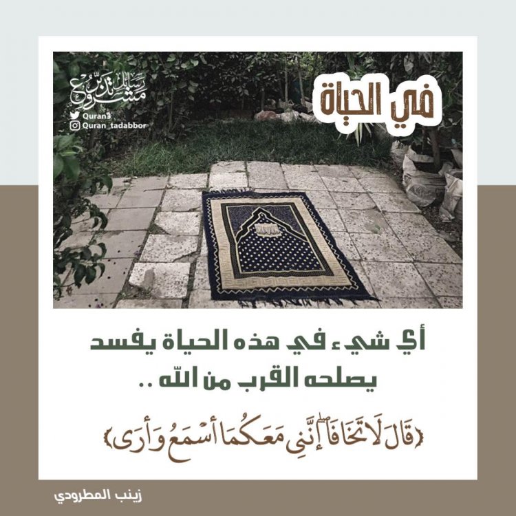 تاملات قرآنية