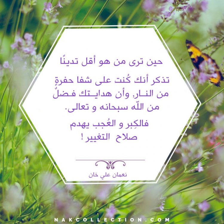 إقتباسات نعمان علي خان