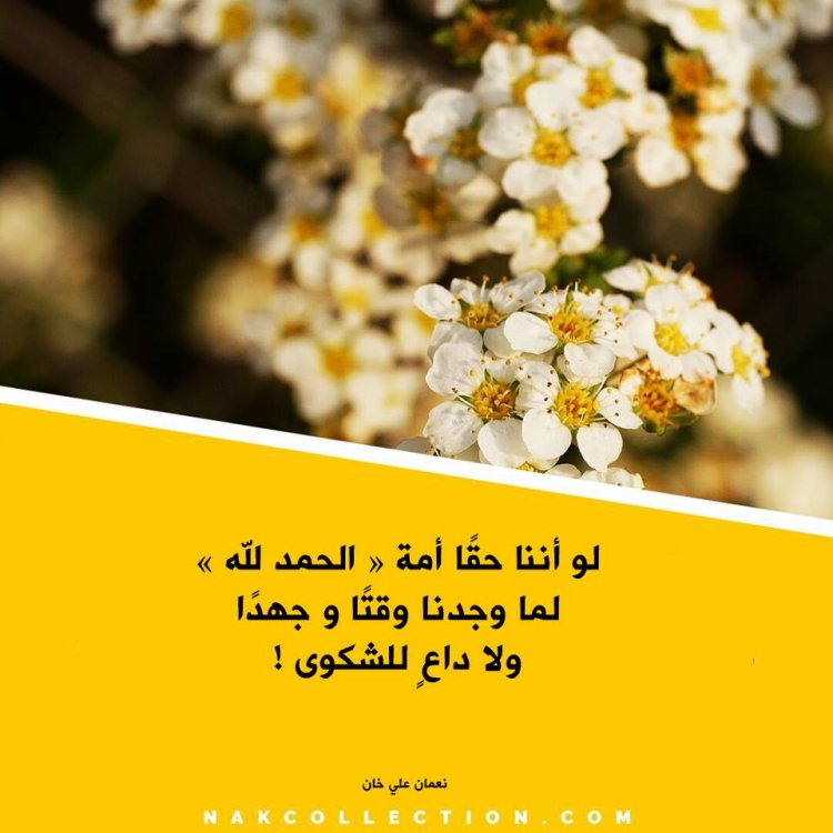 إقتباسات نعمان علي خان